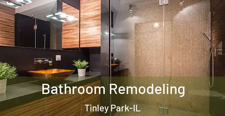 inner Bathroom imggen Bathroom Remodeling Tinley Park-IL