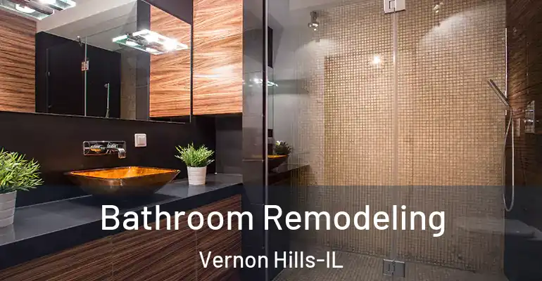 inner Bathroom imggen Bathroom Remodeling Vernon Hills-IL