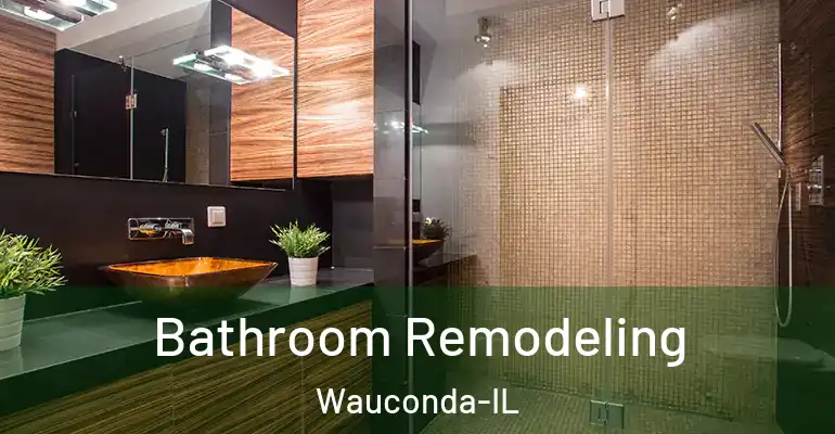 inner Bathroom imggen Bathroom Remodeling Wauconda-IL
