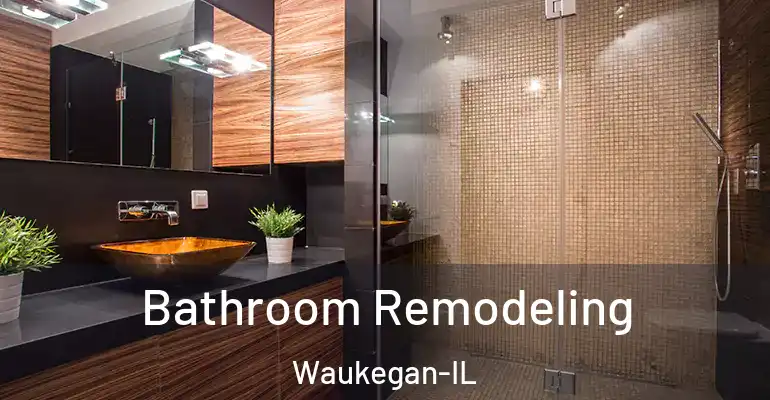 inner Bathroom imggen Bathroom Remodeling Waukegan-IL