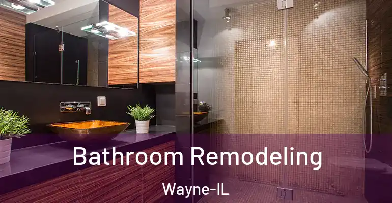 inner Bathroom imggen Bathroom Remodeling Wayne-IL