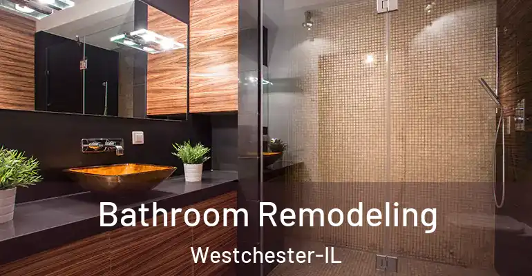 inner Bathroom imggen Bathroom Remodeling Westchester-IL