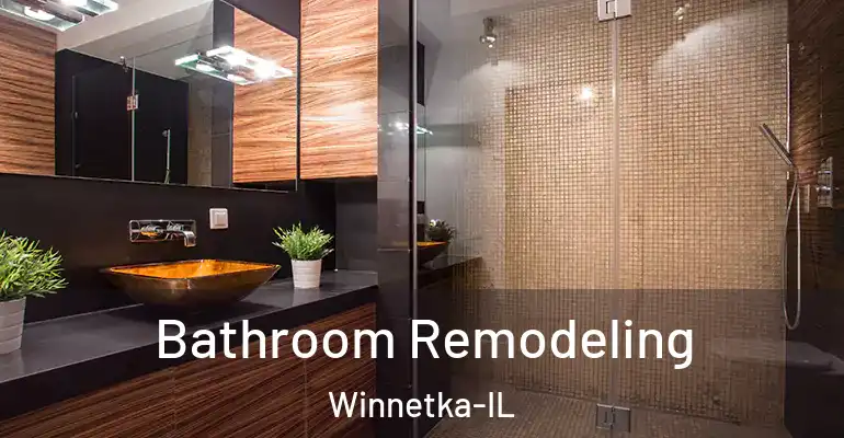 inner Bathroom imggen Bathroom Remodeling Winnetka-IL