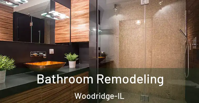 inner Bathroom imggen Bathroom Remodeling Woodridge-IL