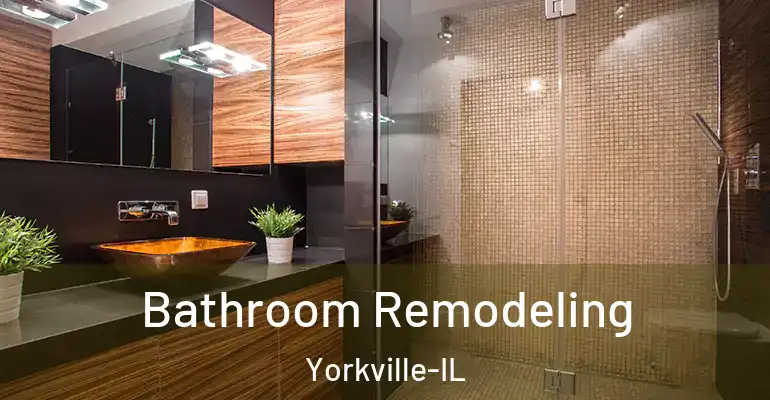 inner Bathroom imggen Bathroom Remodeling Yorkville-IL