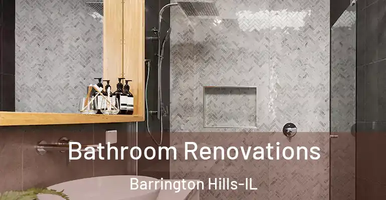 inner Bathroom imggen Bathroom Renovations Barrington Hills-IL