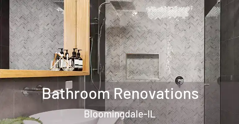 inner Bathroom imggen Bathroom Renovations Bloomingdale-IL