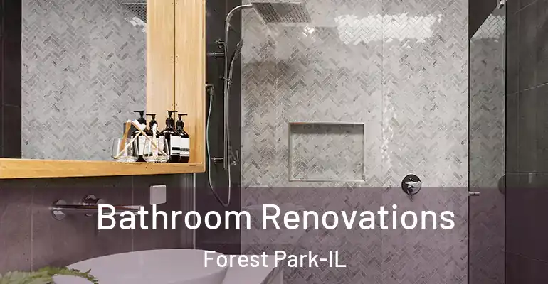 inner Bathroom imggen Bathroom Renovations Forest Park-IL