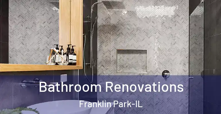 inner Bathroom imggen Bathroom Renovations Franklin Park-IL