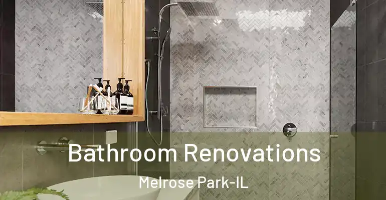 inner Bathroom imggen Bathroom Renovations Melrose Park-IL