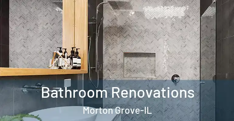 inner Bathroom imggen Bathroom Renovations Morton Grove-IL