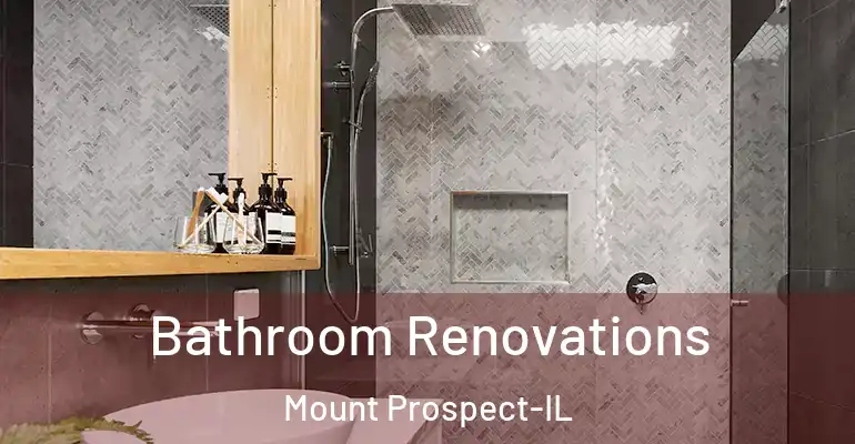 inner Bathroom imggen Bathroom Renovations Mount Prospect-IL