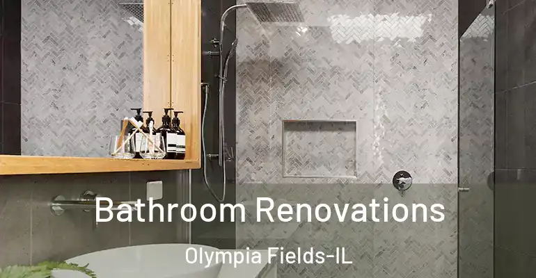 inner Bathroom imggen Bathroom Renovations Olympia Fields-IL