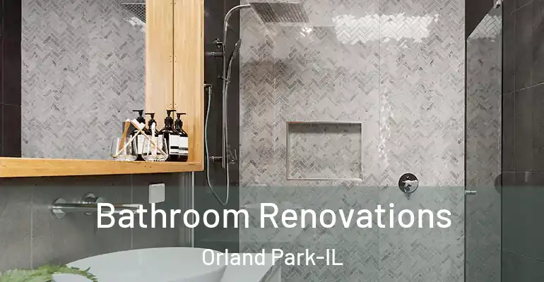 inner Bathroom imggen Bathroom Renovations Orland Park-IL