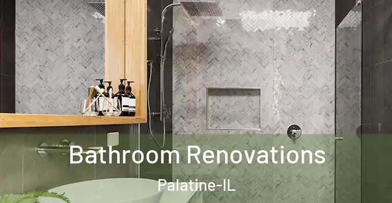 inner Bathroom imggen Bathroom Renovations Palatine-IL