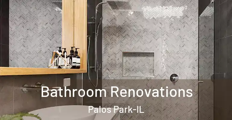 inner Bathroom imggen Bathroom Renovations Palos Park-IL