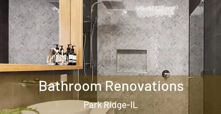 inner Bathroom imggen Bathroom Renovations Park Ridge-IL