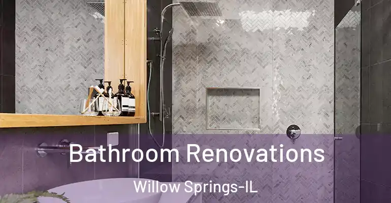 inner Bathroom imggen Bathroom Renovations Willow Springs-IL