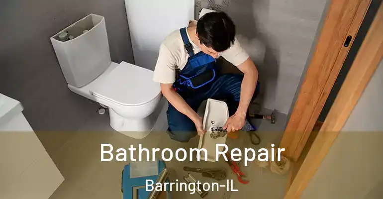 inner Bathroom imggen Bathroom Repair Barrington-IL