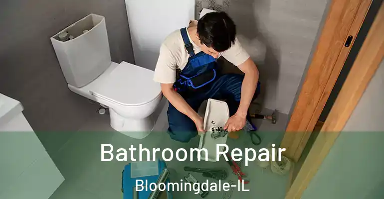 inner Bathroom imggen Bathroom Repair Bloomingdale-IL