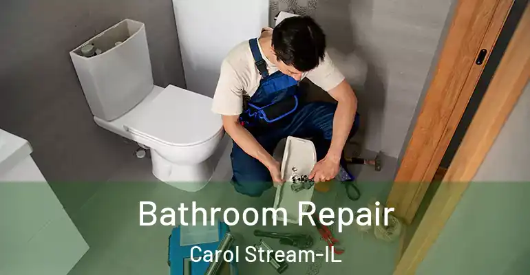 inner Bathroom imggen Bathroom Repair Carol Stream-IL