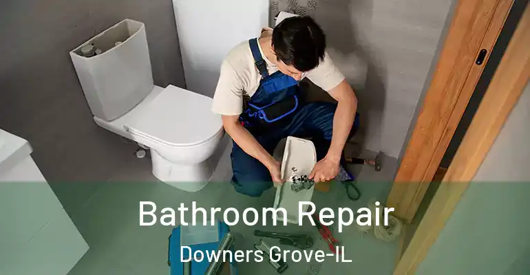 inner Bathroom imggen Bathroom Repair Downers Grove-IL