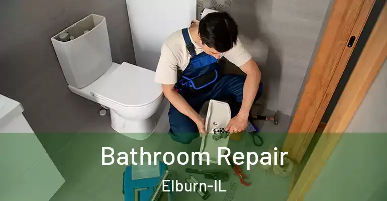 inner Bathroom imggen Bathroom Repair Elburn-IL