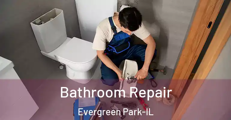 inner Bathroom imggen Bathroom Repair Evergreen Park-IL