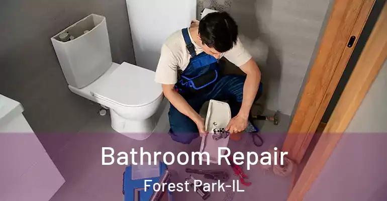 inner Bathroom imggen Bathroom Repair Forest Park-IL