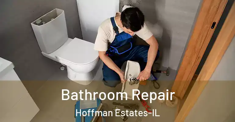 inner Bathroom imggen Bathroom Repair Hoffman Estates-IL