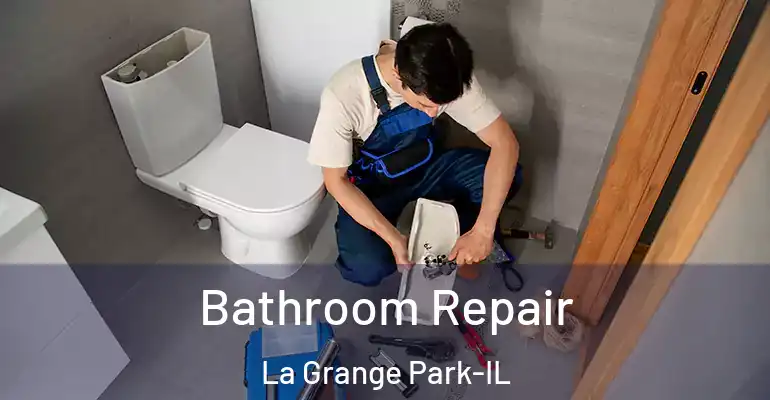 inner Bathroom imggen Bathroom Repair La Grange Park-IL