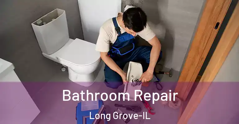 inner Bathroom imggen Bathroom Repair Long Grove-IL