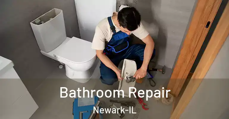 inner Bathroom imggen Bathroom Repair Newark-IL