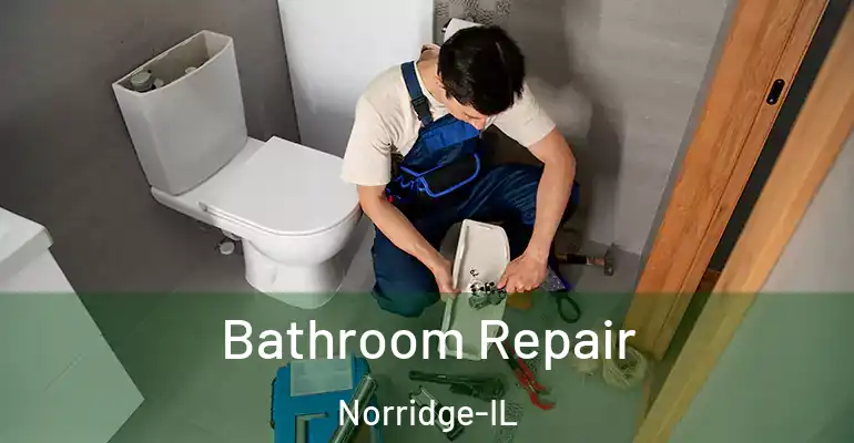 inner Bathroom imggen Bathroom Repair Norridge-IL