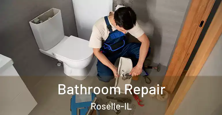 inner Bathroom imggen Bathroom Repair Roselle-IL