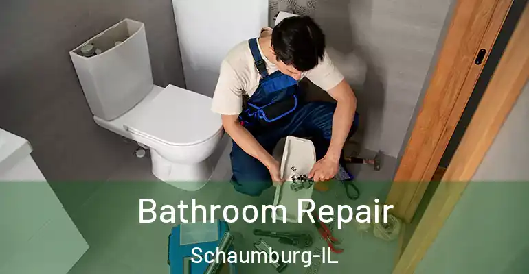 inner Bathroom imggen Bathroom Repair Schaumburg-IL