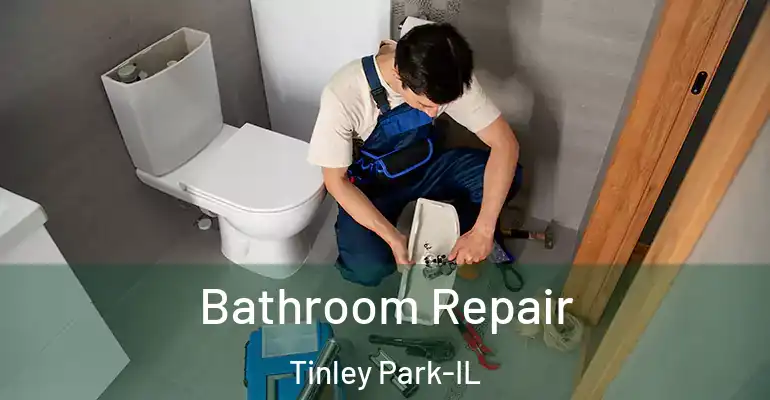 inner Bathroom imggen Bathroom Repair Tinley Park-IL