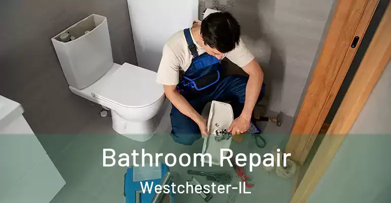 inner Bathroom imggen Bathroom Repair Westchester-IL