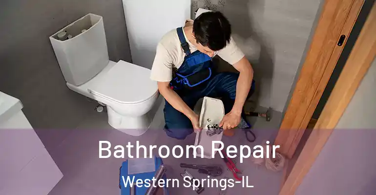 inner Bathroom imggen Bathroom Repair Western Springs-IL