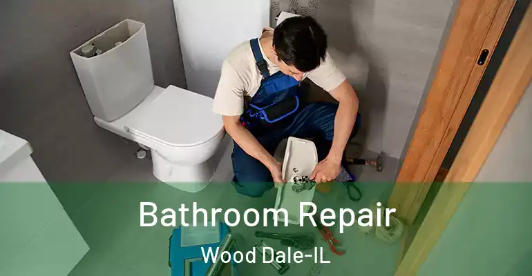 inner Bathroom imggen Bathroom Repair Wood Dale-IL