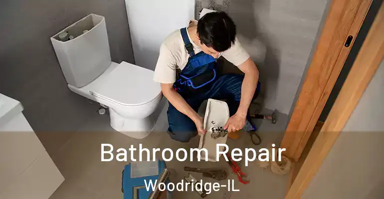 inner Bathroom imggen Bathroom Repair Woodridge-IL