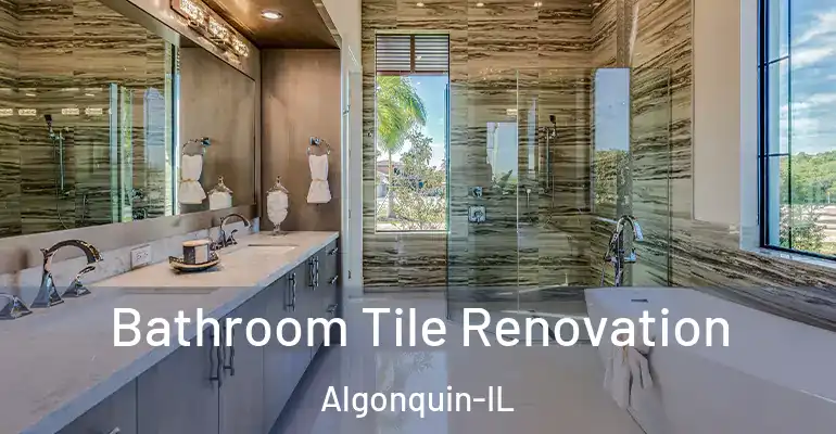 inner Bathroom imggen Bathroom Tile Renovation Algonquin-IL