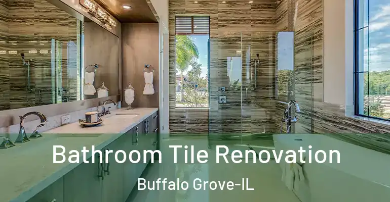 inner Bathroom imggen Bathroom Tile Renovation Buffalo Grove-IL