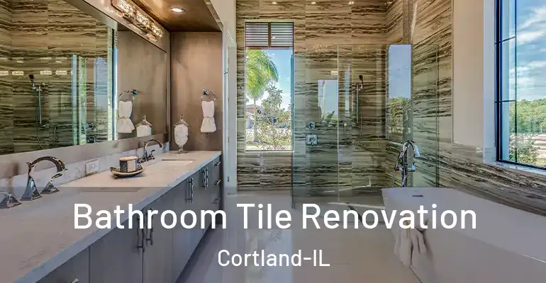 inner Bathroom imggen Bathroom Tile Renovation Cortland-IL