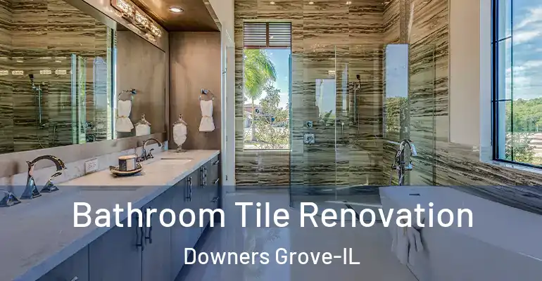 inner Bathroom imggen Bathroom Tile Renovation Downers Grove-IL