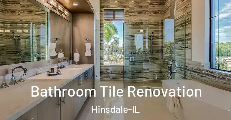 inner Bathroom imggen Bathroom Tile Renovation Hinsdale-IL