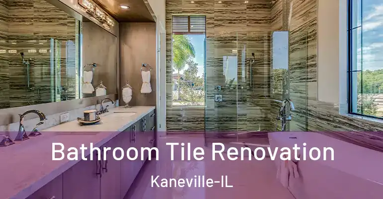 inner Bathroom imggen Bathroom Tile Renovation Kaneville-IL