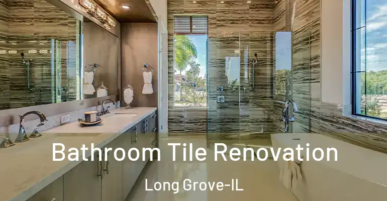 inner Bathroom imggen Bathroom Tile Renovation Long Grove-IL