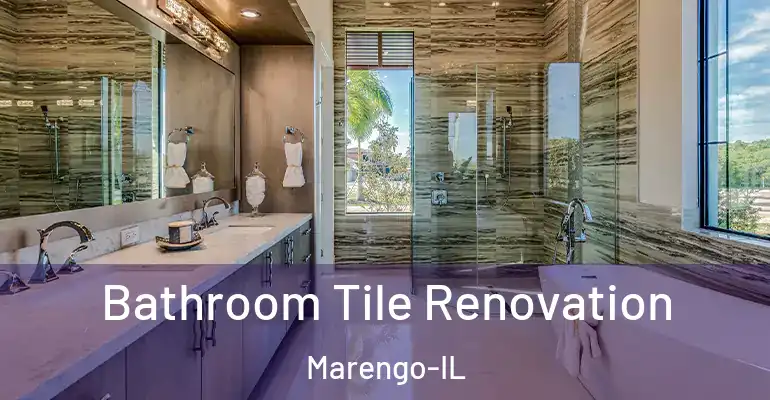 inner Bathroom imggen Bathroom Tile Renovation Marengo-IL