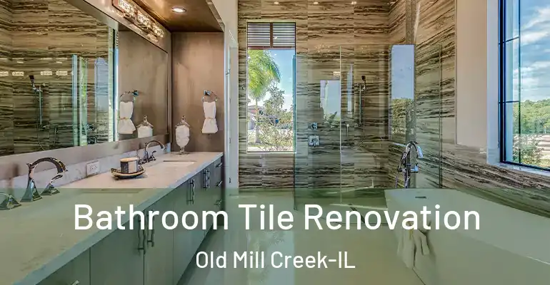 inner Bathroom imggen Bathroom Tile Renovation Old Mill Creek-IL